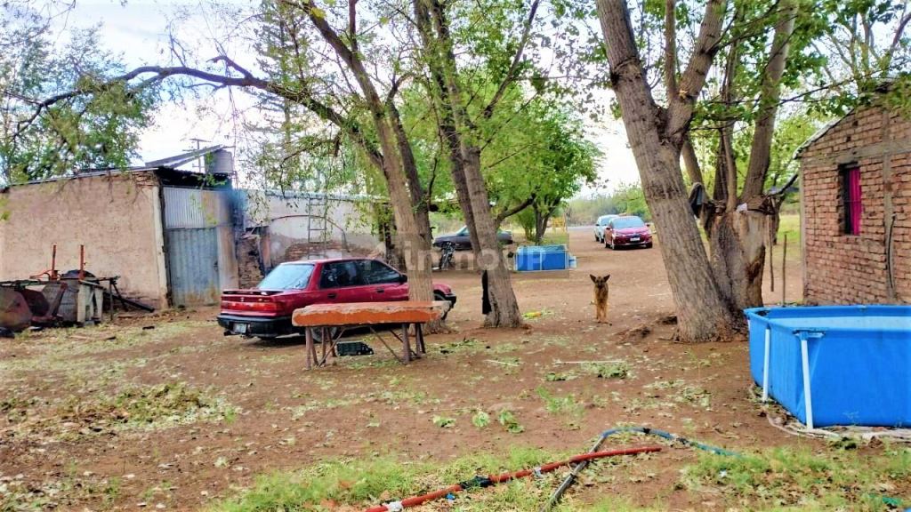 Finca en Venta en San Martin, Mendoza
