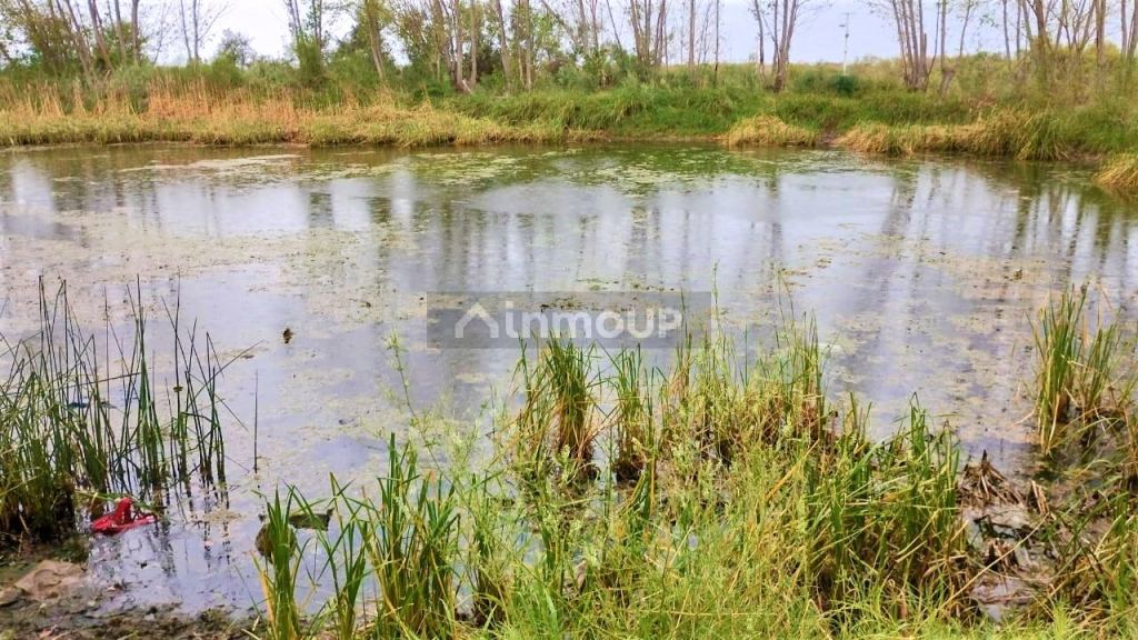 Finca en Venta en San Martin, Mendoza