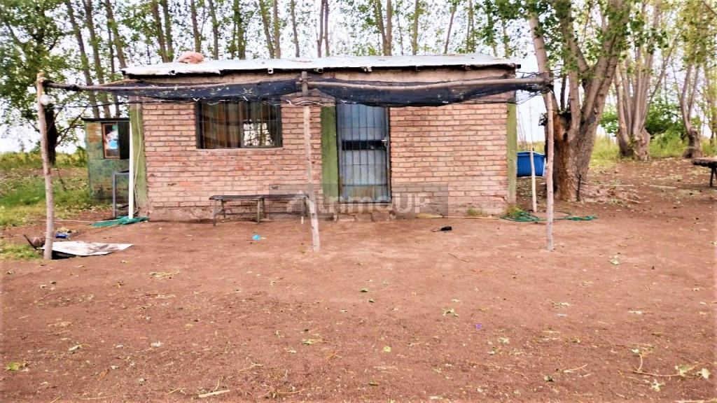 Finca en Venta en San Martin, Mendoza