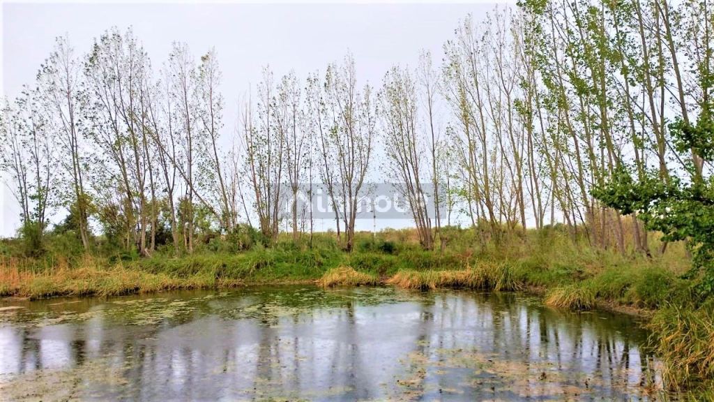 Finca en Venta en San Martin, Mendoza