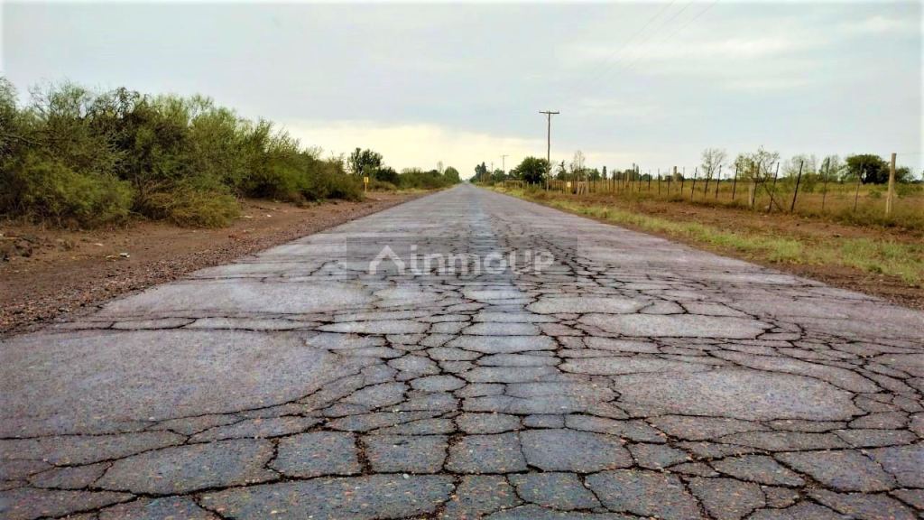 Finca en Venta en San Martin, Mendoza