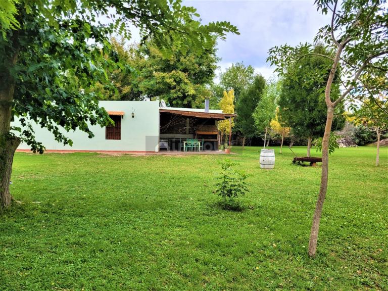 Casa en Venta en Rivadavia, Mendoza