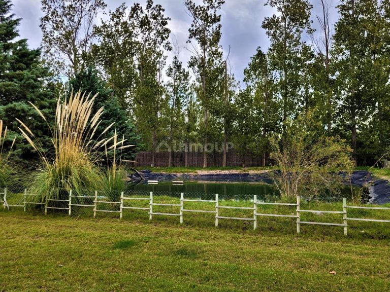 Casa en Venta en Rivadavia, Mendoza