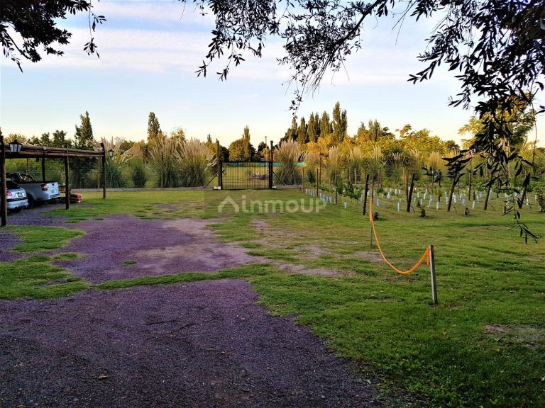Casa en Venta en Rivadavia, Mendoza