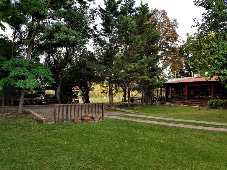 Casa en Venta en Rivadavia, Mendoza