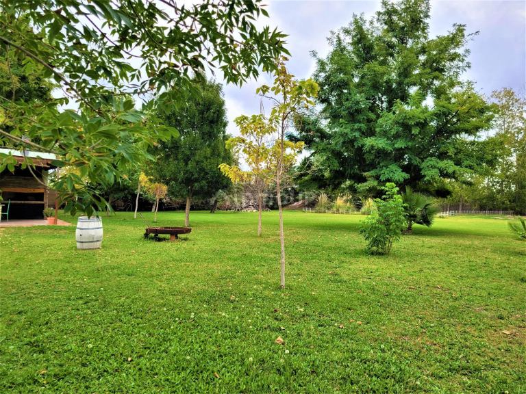 Casa en Venta en Rivadavia, Mendoza