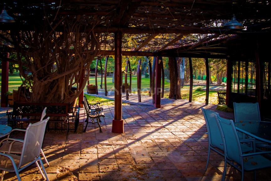 Casa en Venta en Rivadavia, Mendoza
