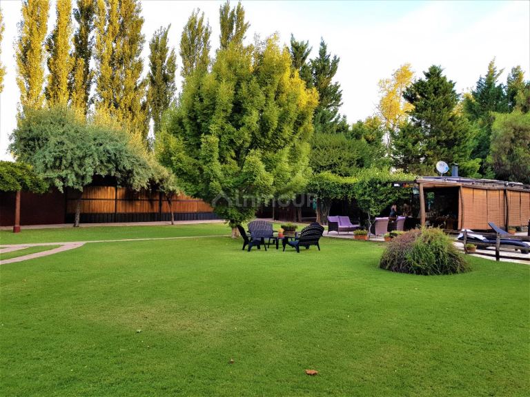 Casa en Venta en Rivadavia, Mendoza