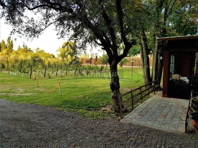 Casa en Venta en Rivadavia, Mendoza