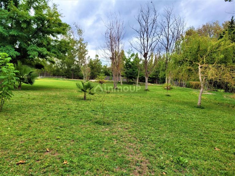 Casa en Venta en Rivadavia, Mendoza