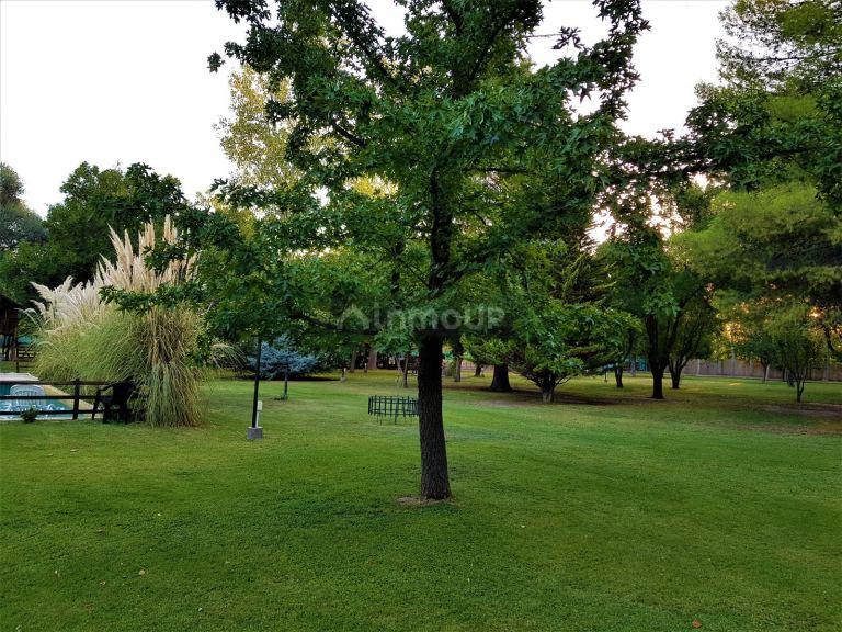 Casa en Venta en Rivadavia, Mendoza