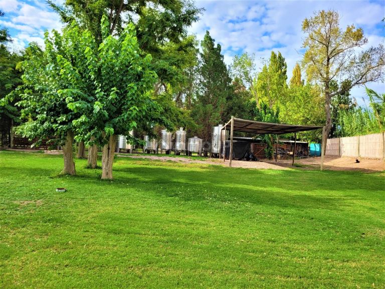 Casa en Venta en Rivadavia, Mendoza