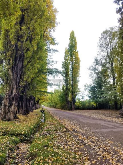 Casa en Venta en Tunuyan, Mendoza