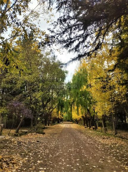 Casa en Venta en Tunuyan, Mendoza
