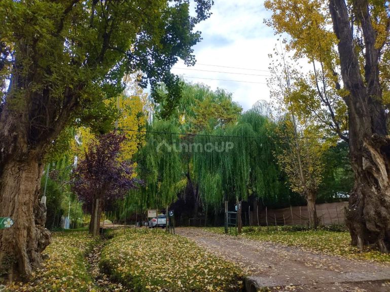 Casa en Venta en Tunuyan, Mendoza