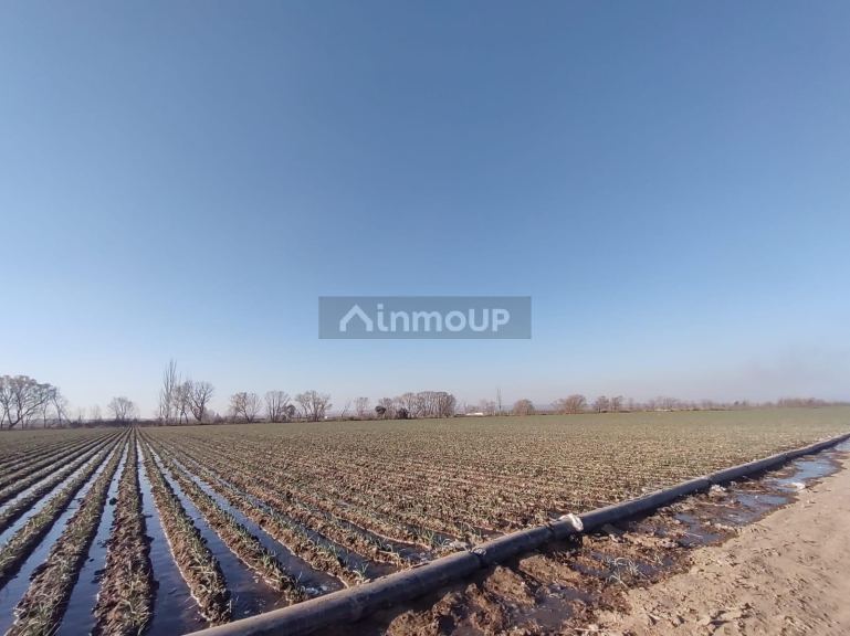 Finca en Venta en Lujan de Cuyo, Mendoza