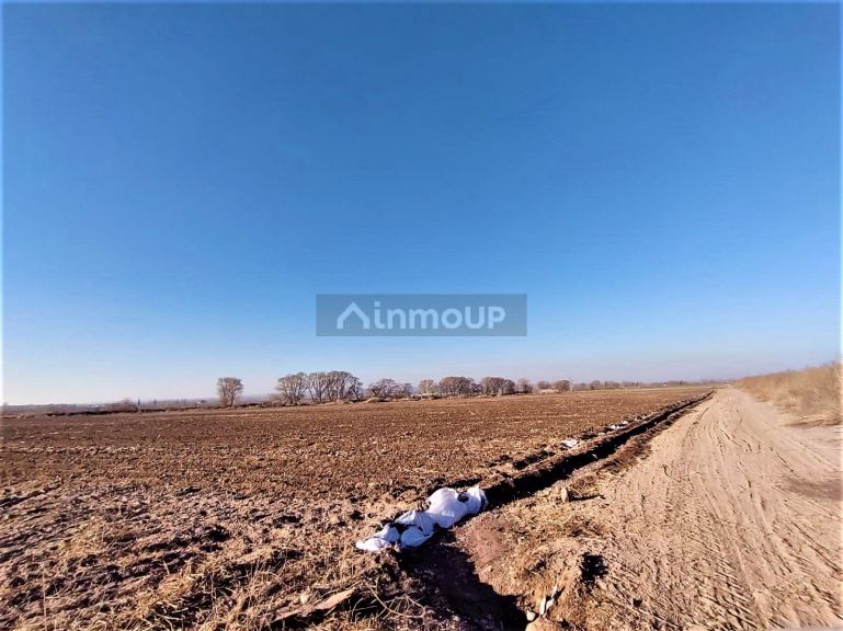 Finca en Venta en Lujan de Cuyo, Mendoza