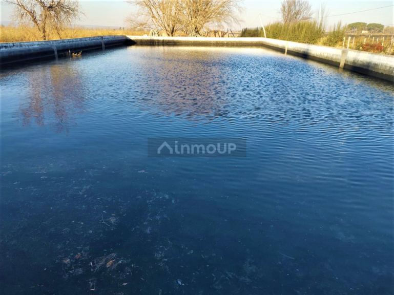 Finca en Venta en Lujan de Cuyo, Mendoza