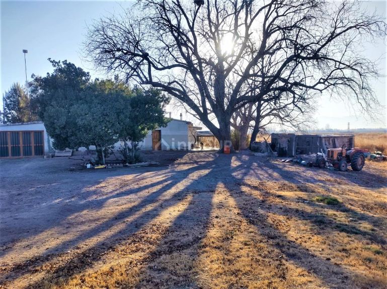 Finca en Venta en Lujan de Cuyo, Mendoza