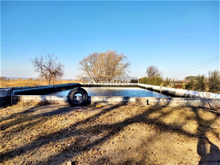 Finca en Venta en Lujan de Cuyo, Mendoza