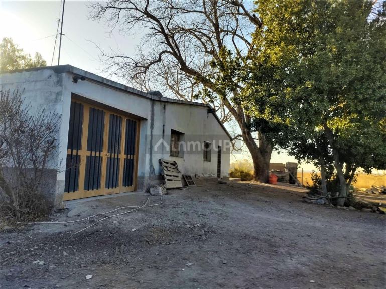 Finca en Venta en Lujan de Cuyo, Mendoza