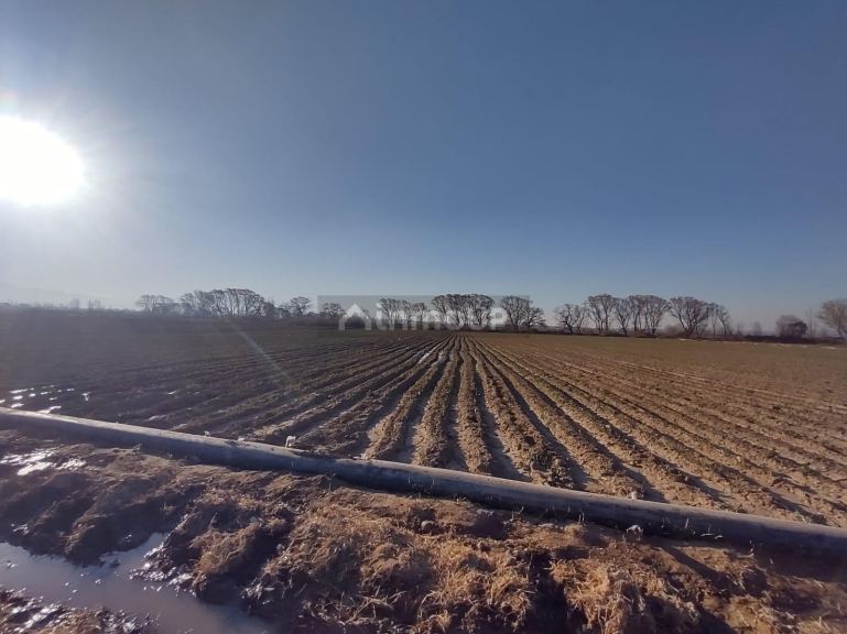 Finca en Venta en Lujan de Cuyo, Mendoza