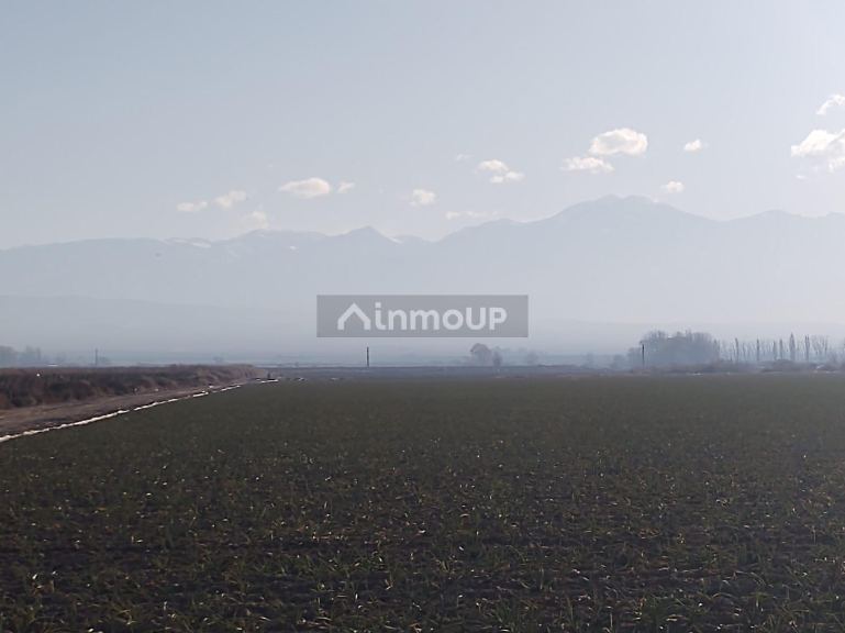 Finca en Venta en Lujan de Cuyo, Mendoza