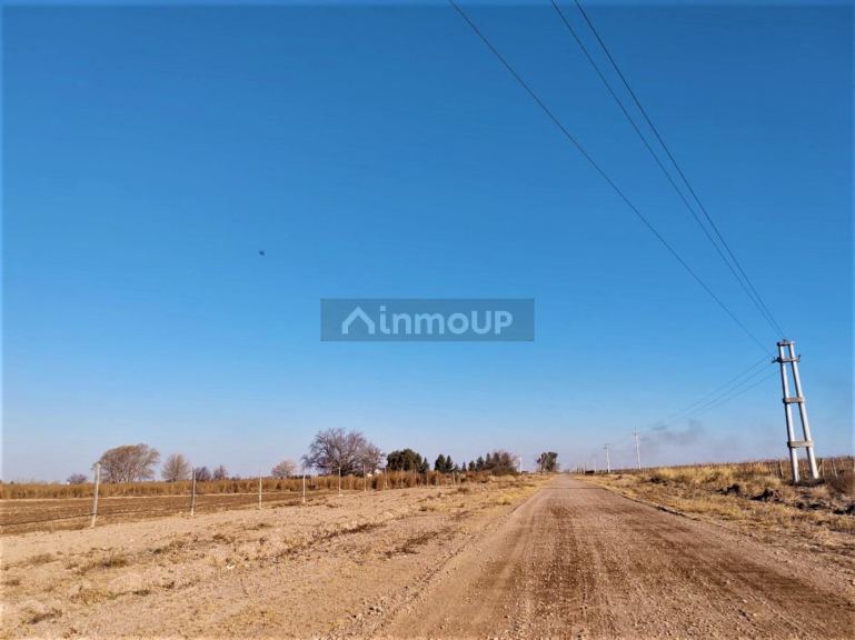 Finca en Venta en Lujan de Cuyo, Mendoza