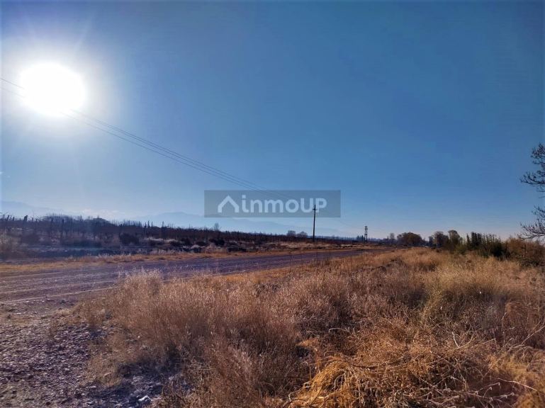 Finca en Venta en Lujan de Cuyo, Mendoza