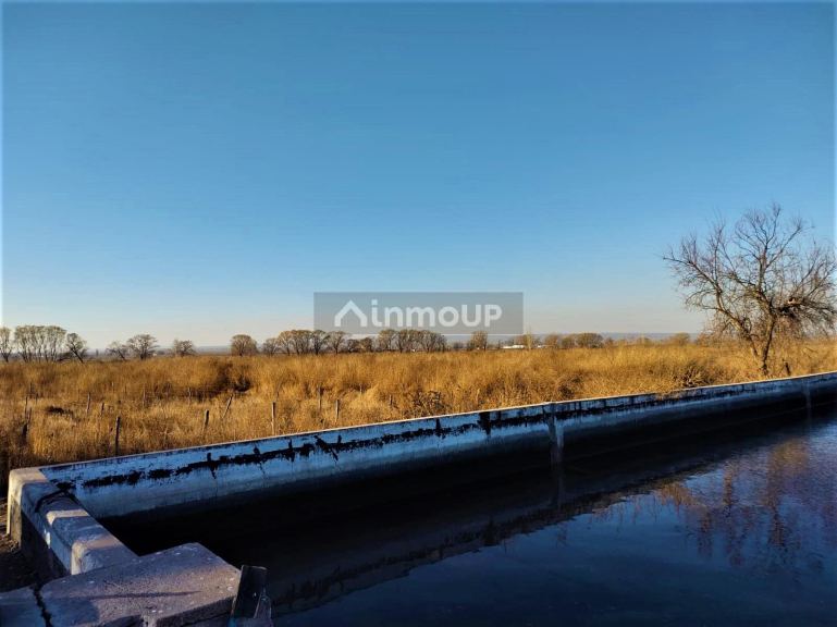 Finca en Venta en Lujan de Cuyo, Mendoza