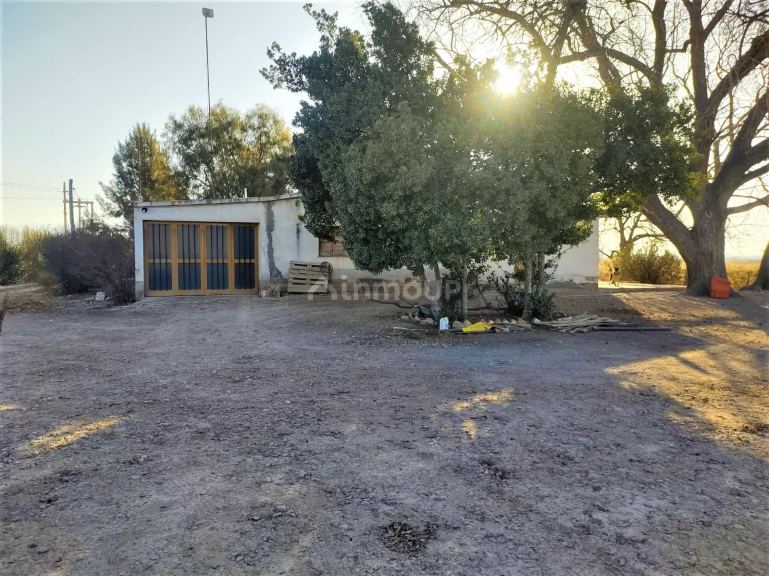 Finca en Venta en Lujan de Cuyo, Mendoza