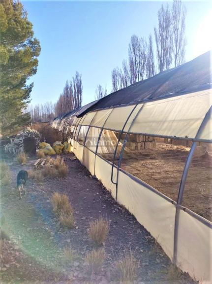 Quinta en Venta en Lujan de Cuyo, Mendoza