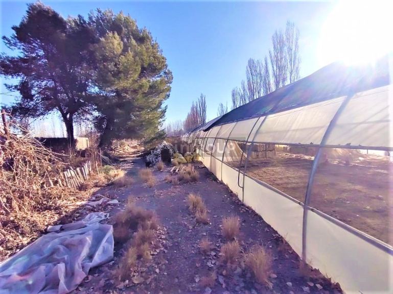 Quinta en Venta en Lujan de Cuyo, Mendoza