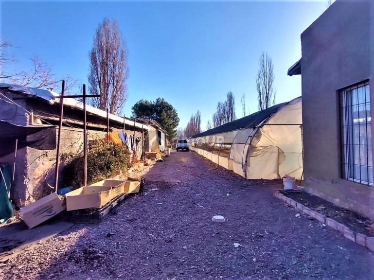 Quinta en Venta en Lujan de Cuyo, Mendoza