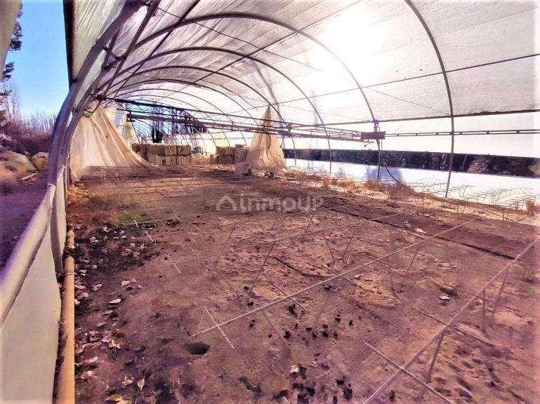 Quinta en Venta en Lujan de Cuyo, Mendoza