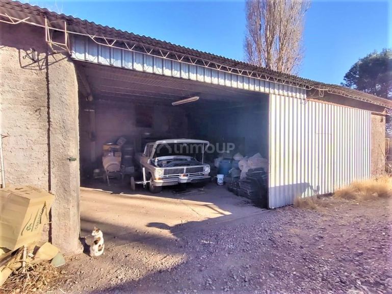 Quinta en Venta en Lujan de Cuyo, Mendoza
