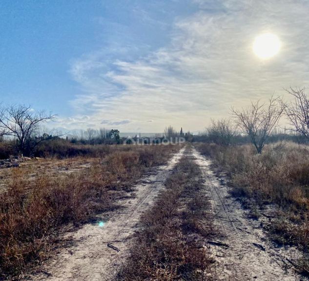 Campo en Venta en San Martin, Mendoza