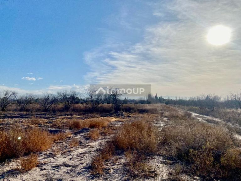 Campo en Venta en San Martin, Mendoza