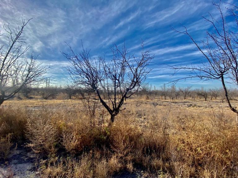 Campo en Venta en San Martin, Mendoza