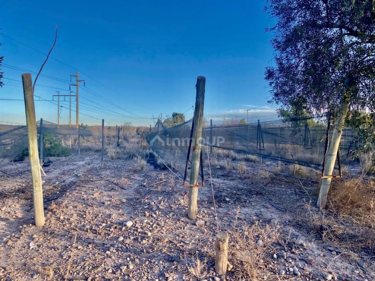 Finca en Venta en Maipu, Mendoza