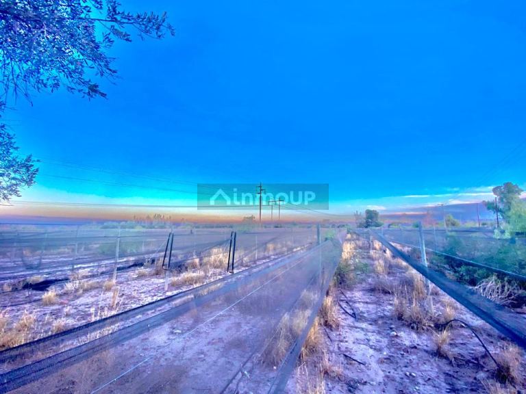 Finca en Venta en Maipu, Mendoza