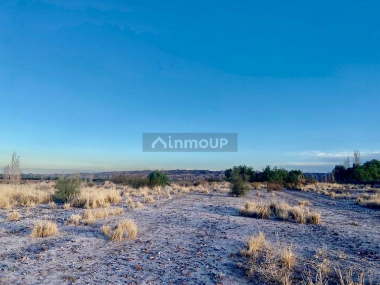 Finca en Venta en Maipu, Mendoza
