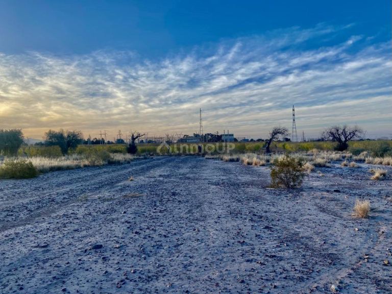 Finca en Venta en Maipu, Mendoza