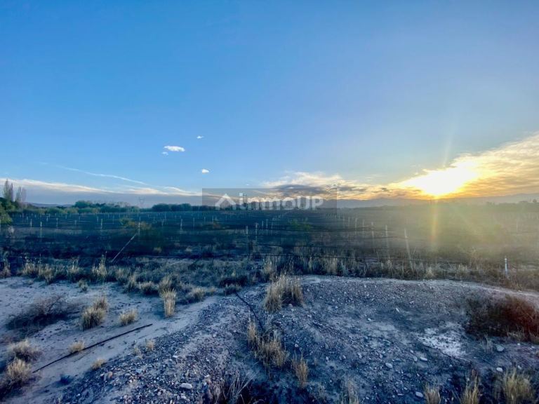 Finca en Venta en Maipu, Mendoza