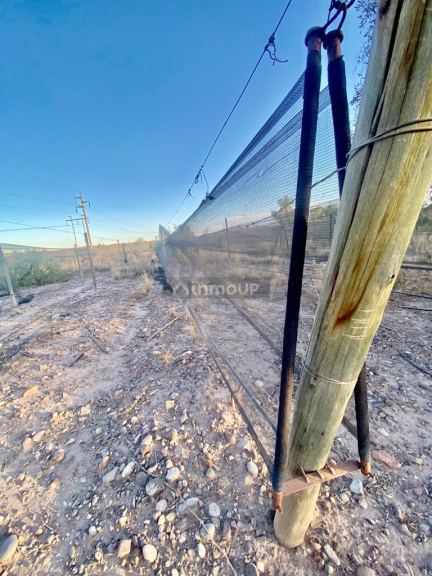 Finca en Venta en Maipu, Mendoza
