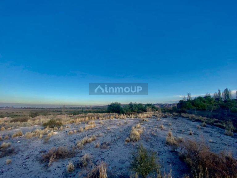 Finca en Venta en Maipu, Mendoza