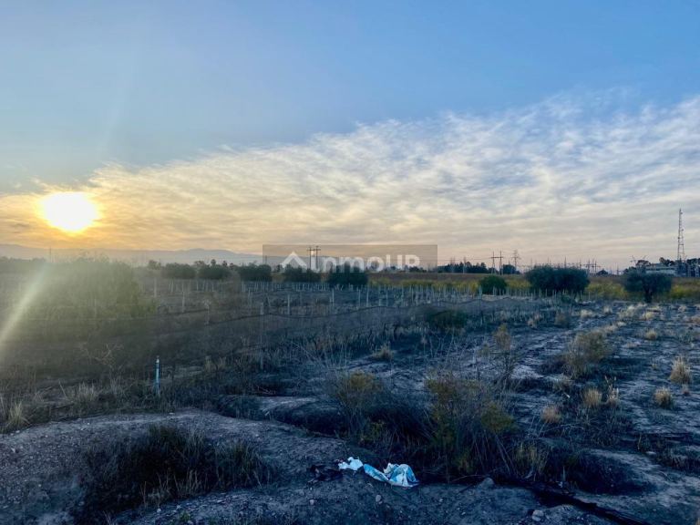 Finca en Venta en Maipu, Mendoza