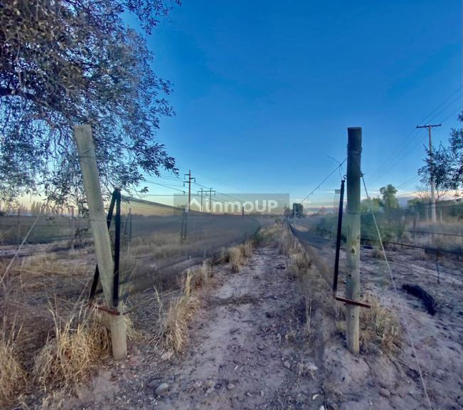 Finca en Venta en Maipu, Mendoza