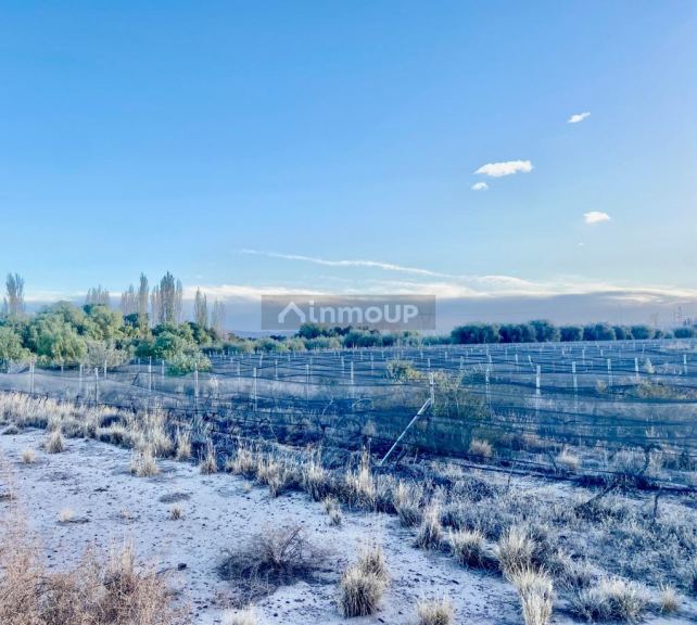 Finca en Venta en Maipu, Mendoza