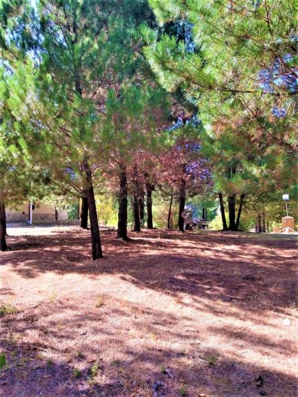 Lote en Venta en Cushamen, Chubut